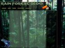 RainforestBlogWIP-1.jpg