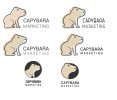 capybara-[Recovered]-2ndattempt.jpg