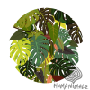 selva_spring-AUgmented-01.png
