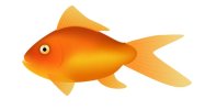 goldfish3.jpg
