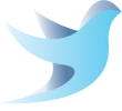 bird.png