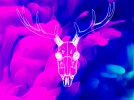 neon-deer.jpg