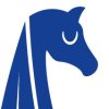 BUCEPHALUS-LOGO-head.jpg