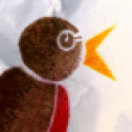 TheCuriousRobin