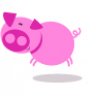 pinkpig