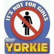 yorkie_bar_quot_not_for_girls_quot.jpg